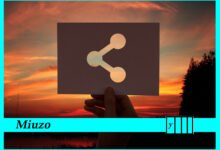 Miuzo